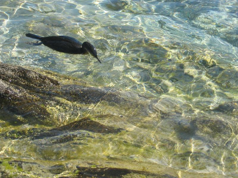 sardegna 2008 040